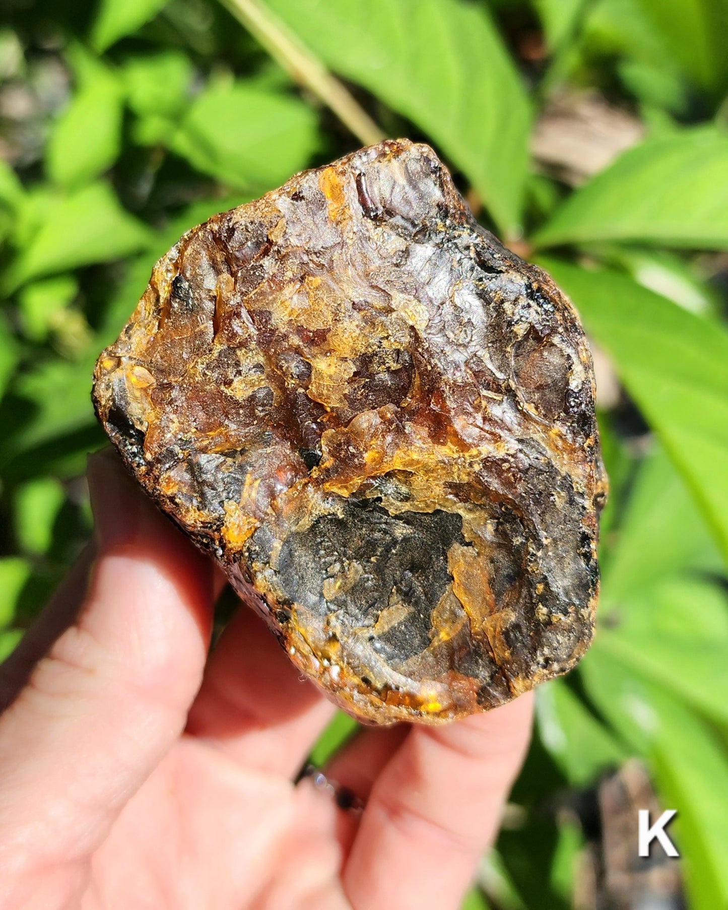 Large Indonesian Amber Chunks UV Reactive