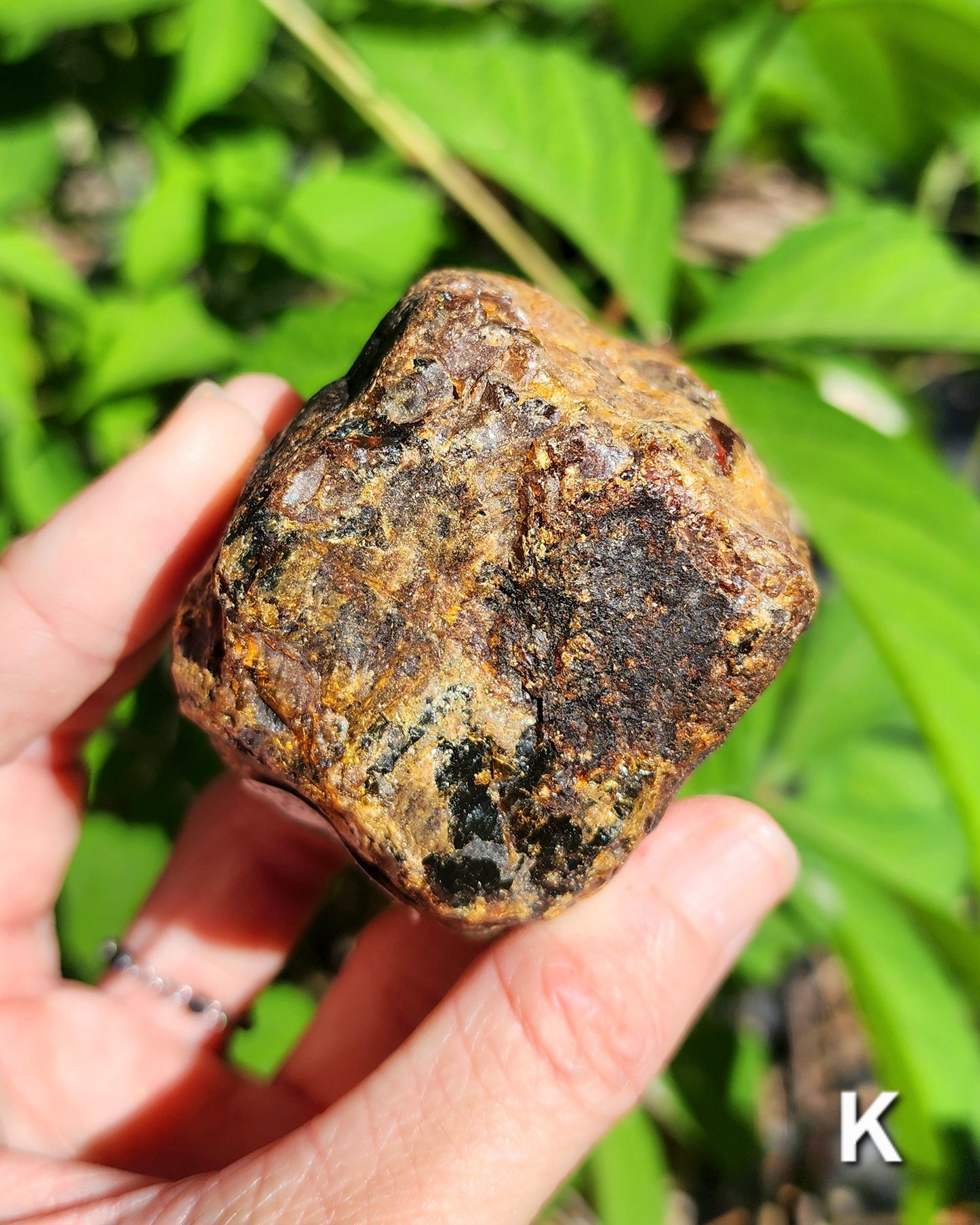 Large Indonesian Amber Chunks UV Reactive