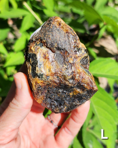 Large Indonesian Amber Chunks UV Reactive