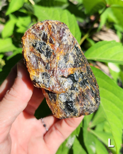 Large Indonesian Amber Chunks UV Reactive
