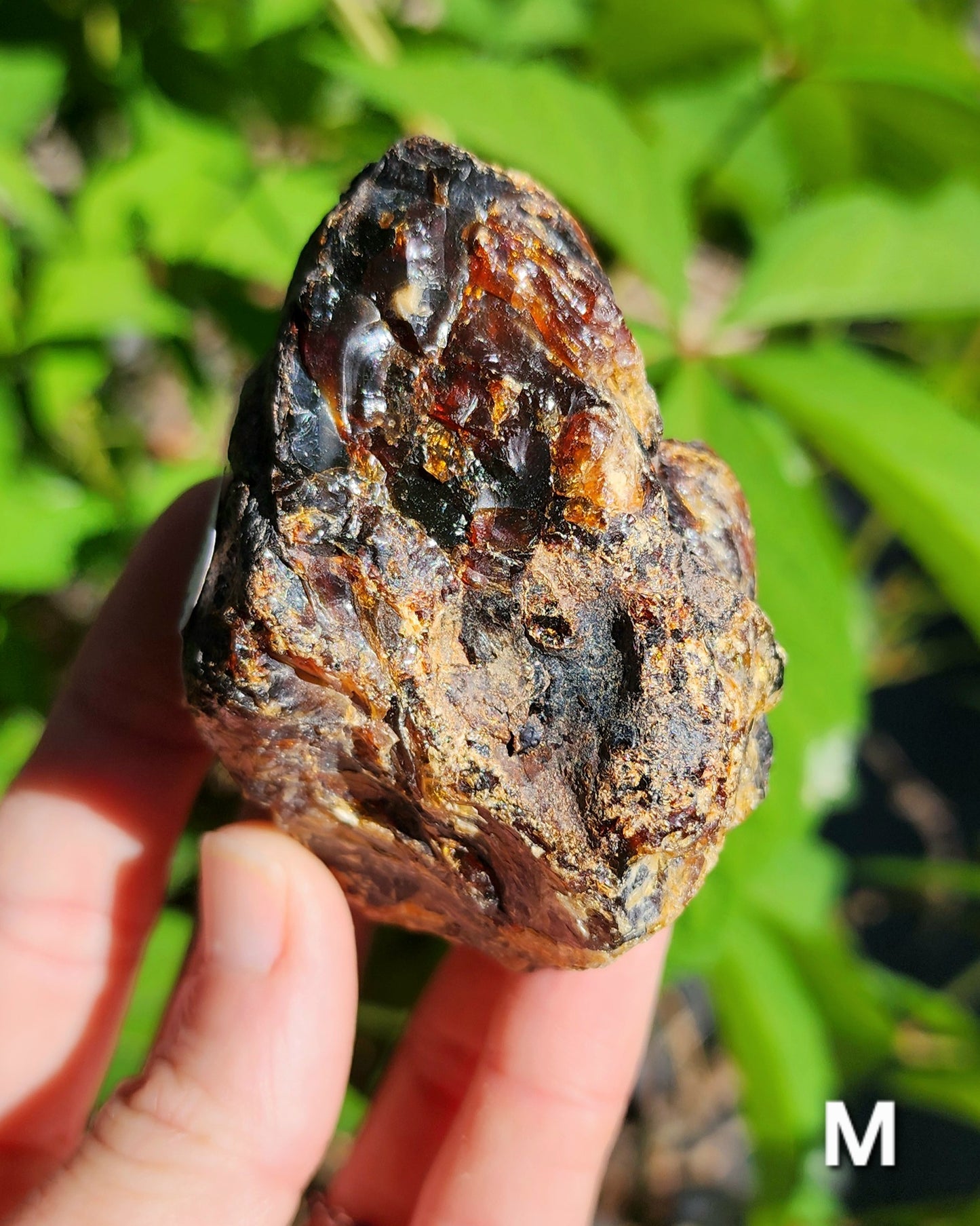 Large Indonesian Amber Chunks UV Reactive