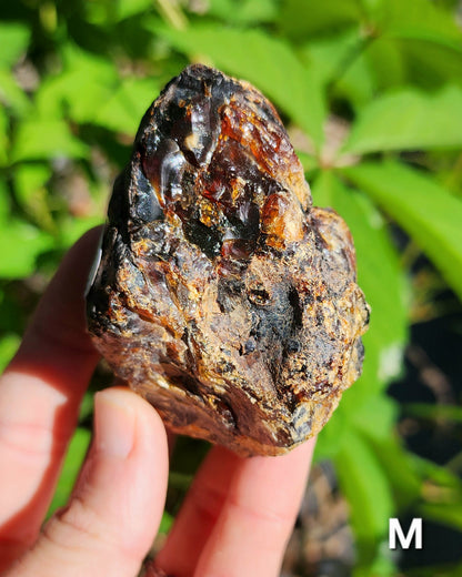 Large Indonesian Amber Chunks UV Reactive