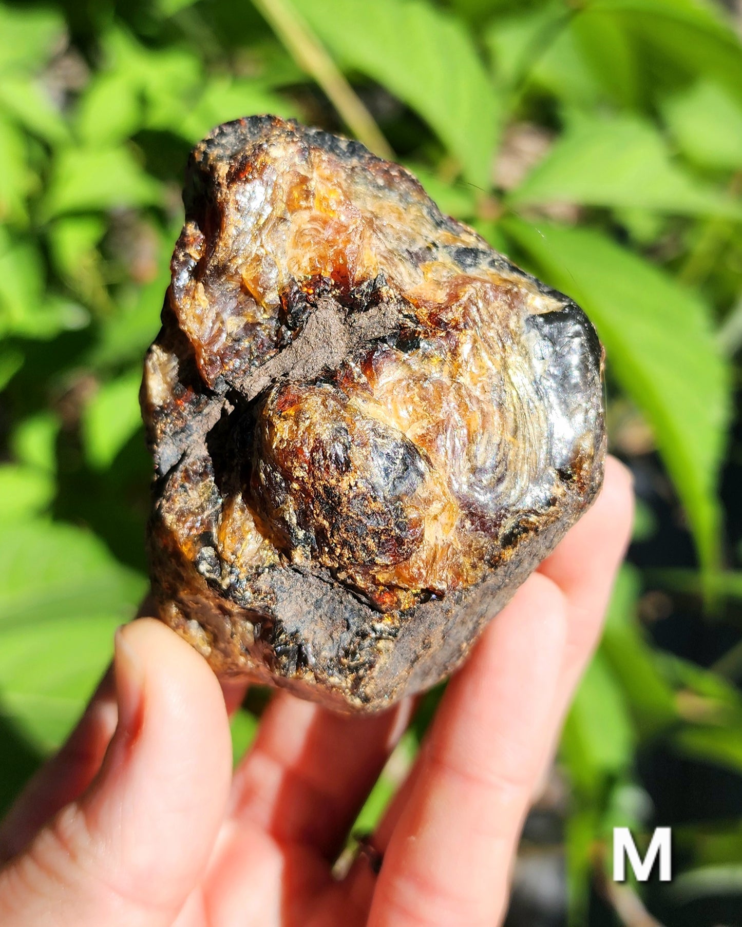 Large Indonesian Amber Chunks UV Reactive