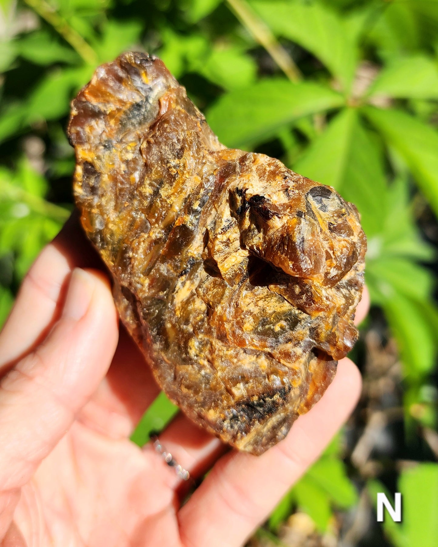 Large Indonesian Amber Chunks UV Reactive
