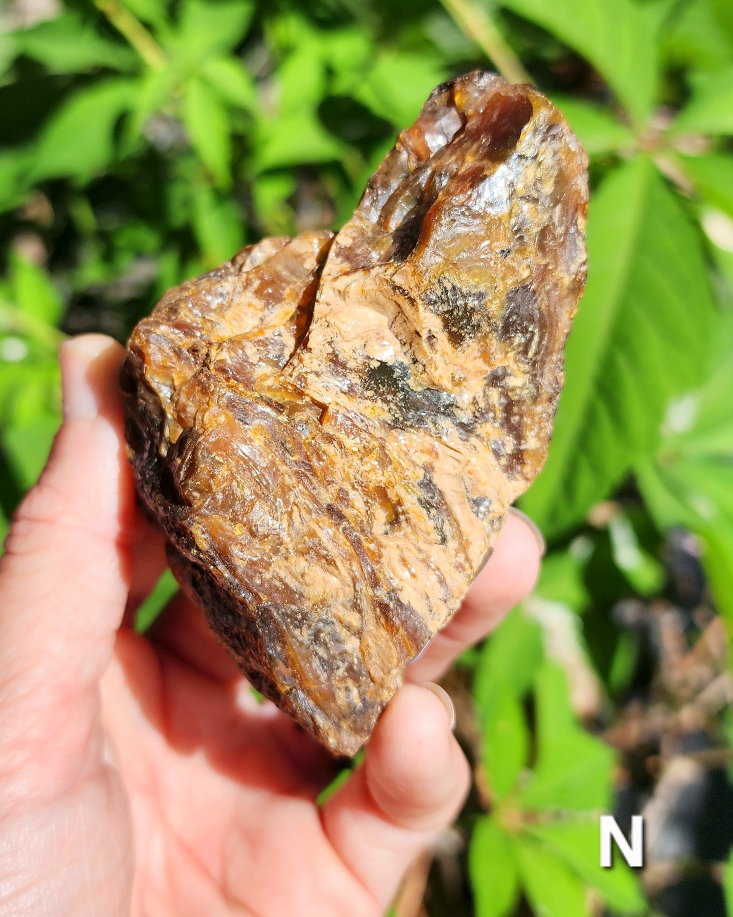 Large Indonesian Amber Chunks UV Reactive