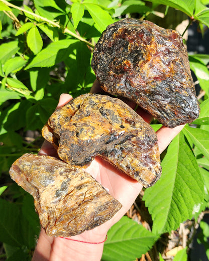 Large Indonesian Amber Chunks UV Reactive