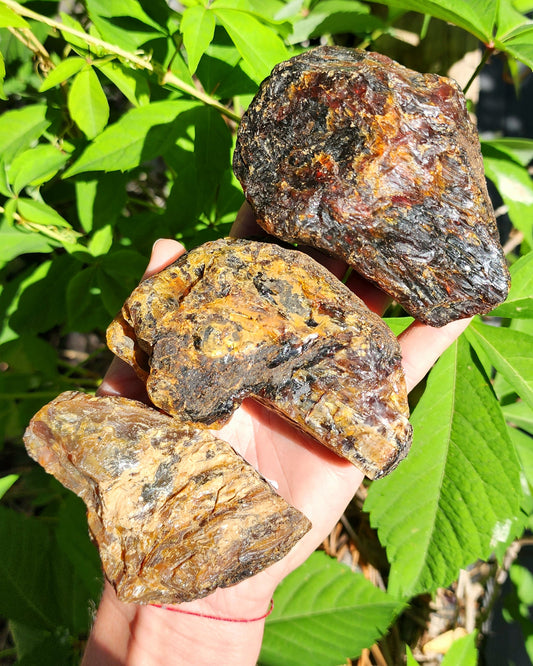 Large Indonesian Amber Chunks UV Reactive