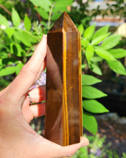 Tiger Eye Tower
