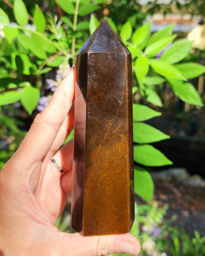 Tiger Eye Tower