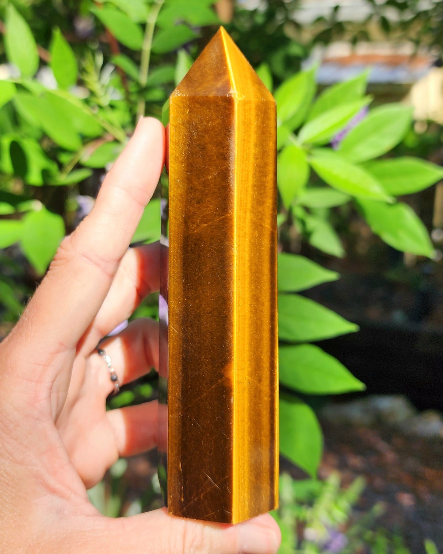 Tiger Eye Tower