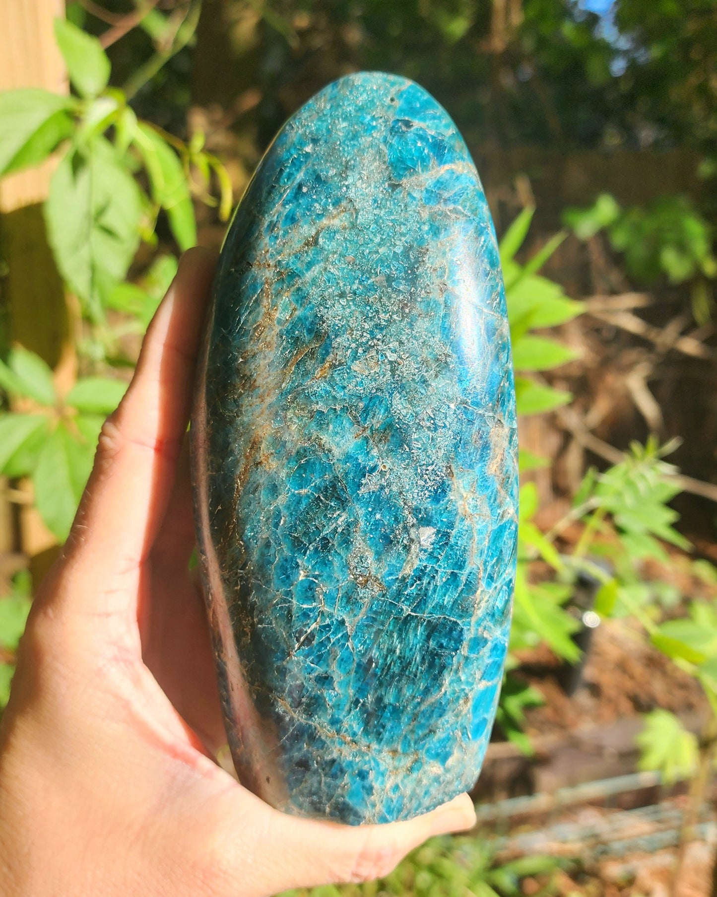 Large Blue Apatite Freeform