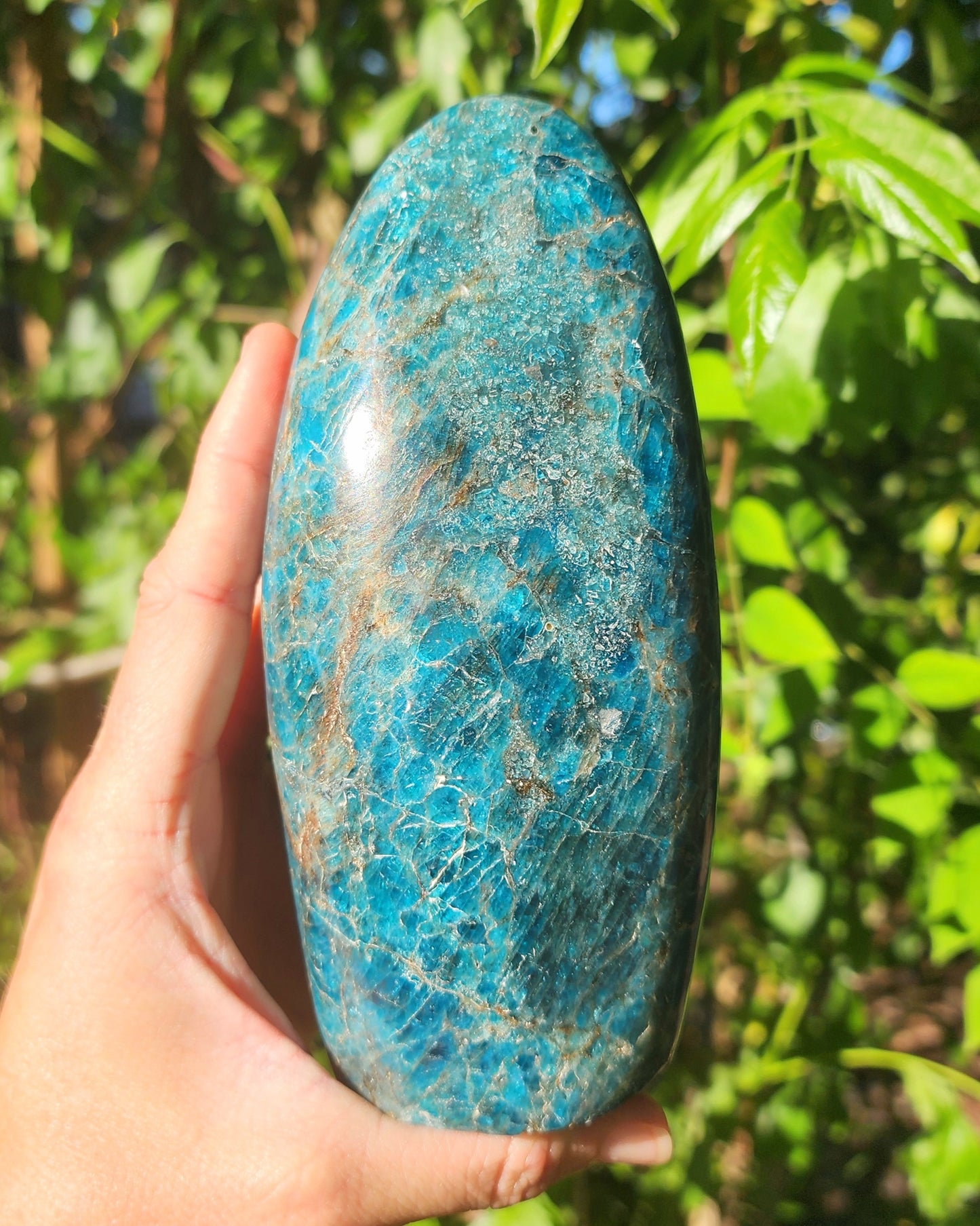 Large Blue Apatite Freeform