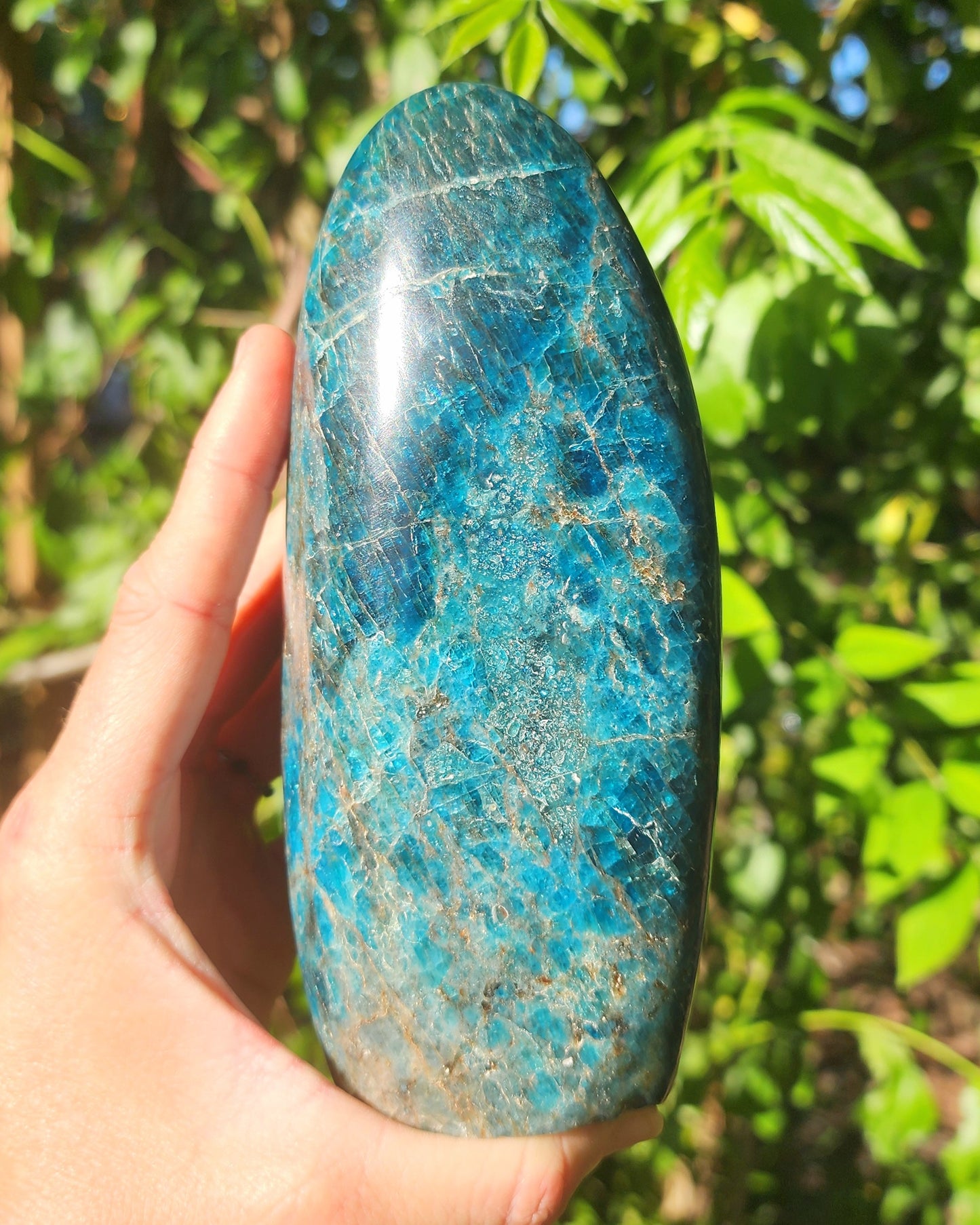 Large Blue Apatite Freeform