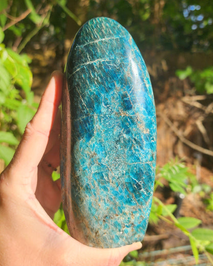 Large Blue Apatite Freeform