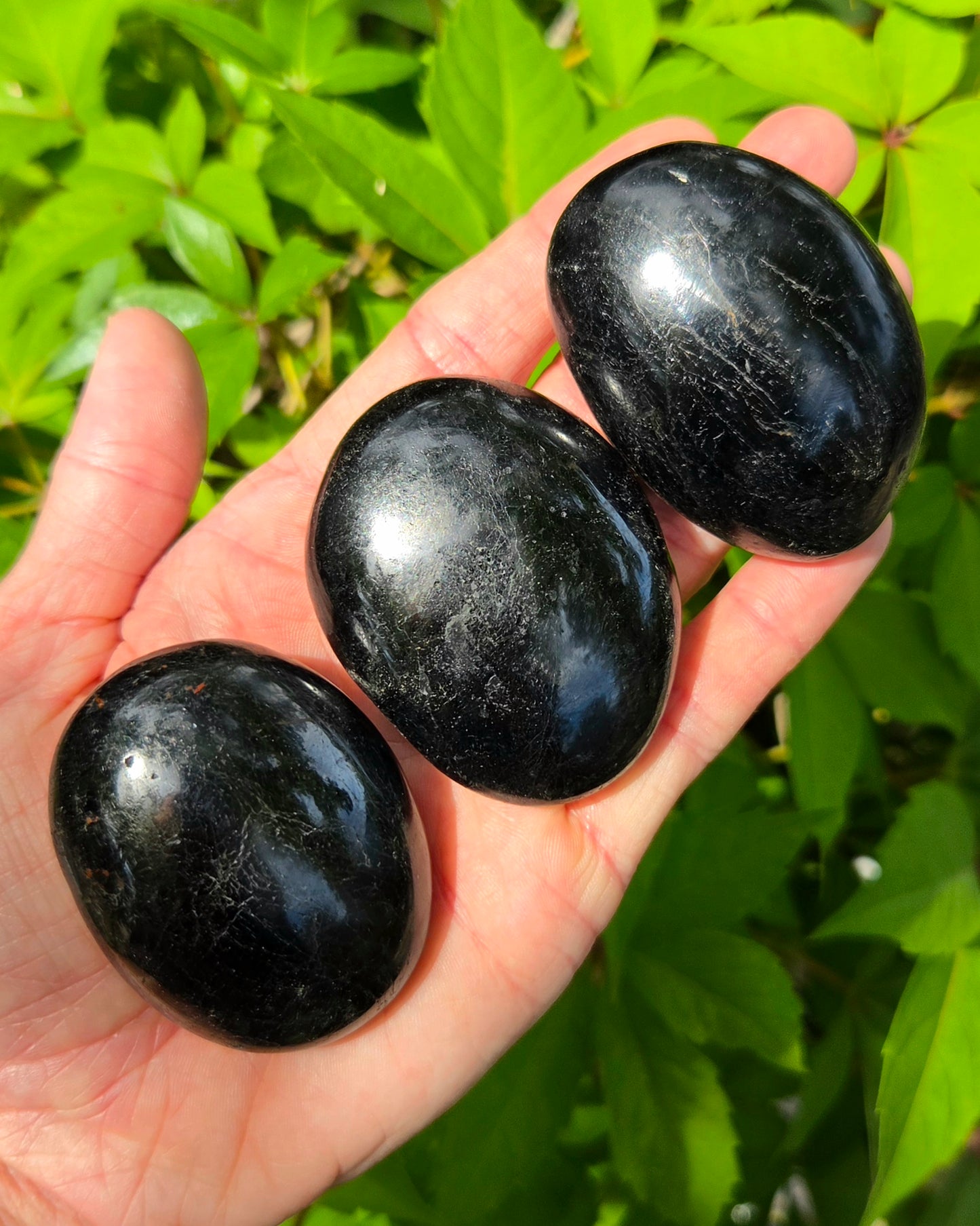 Black Tourmaline Palm Stone