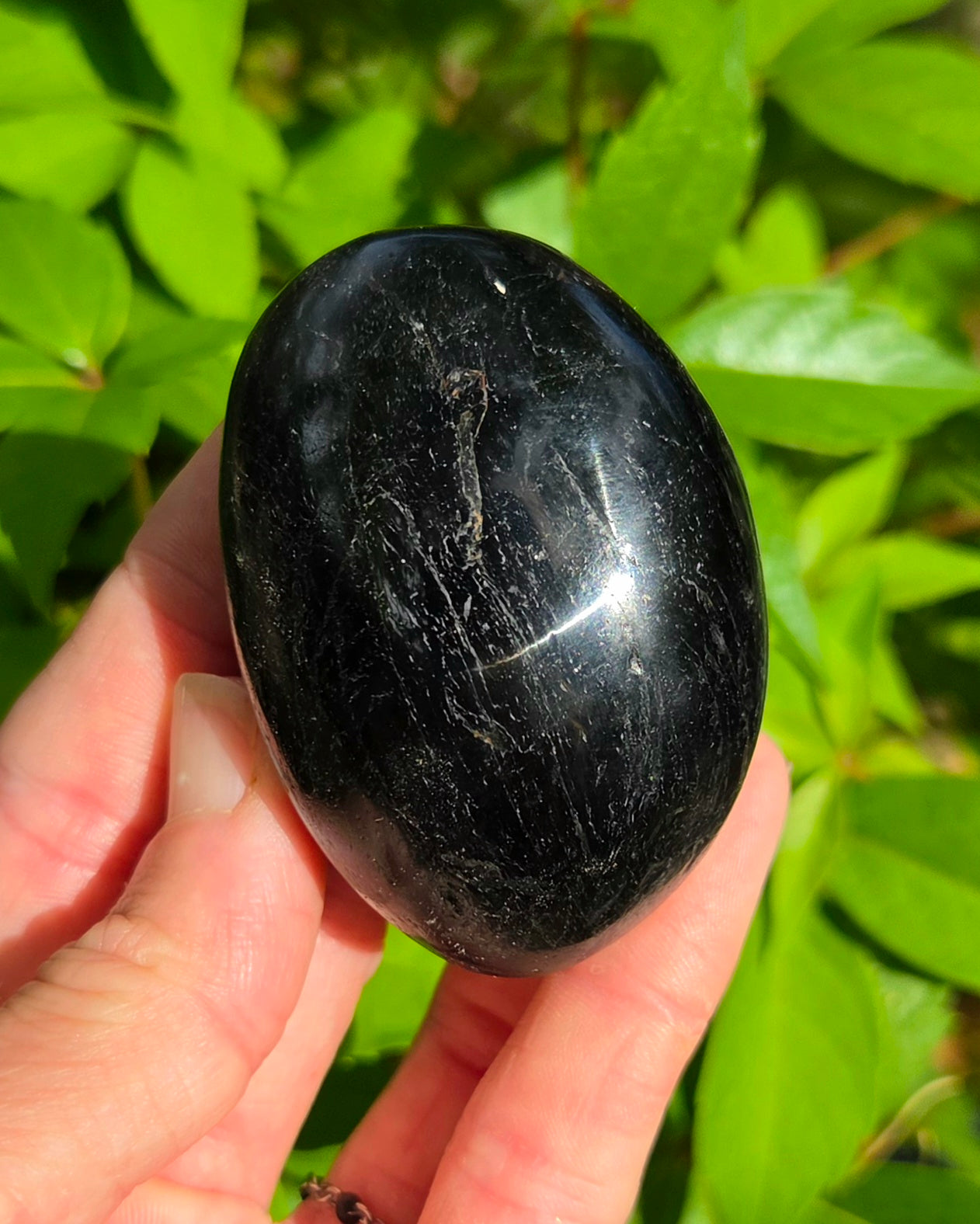 Black Tourmaline Palm Stone