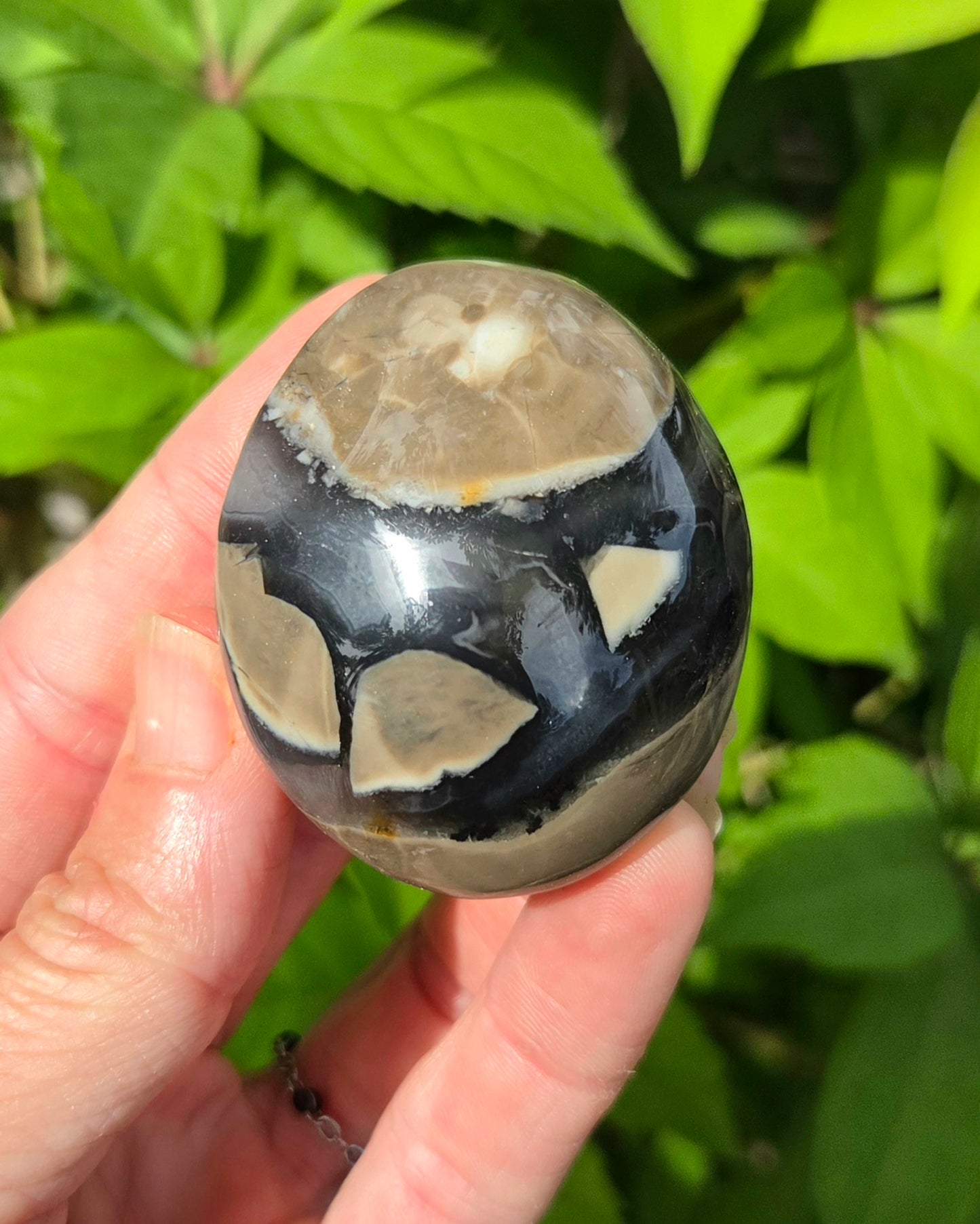 Volcanic Agate Palm Stone UV Reactive