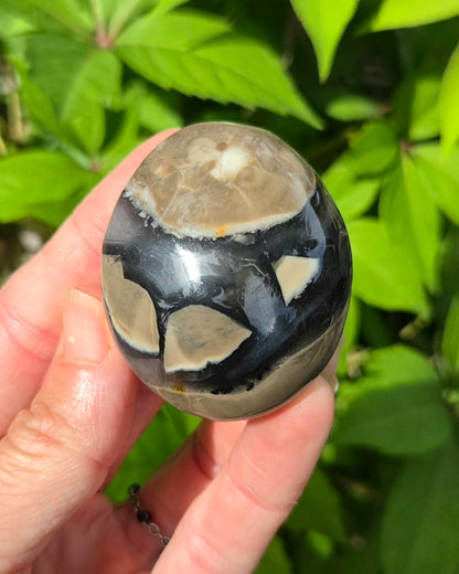Volcanic Agate Palm Stone UV Reactive