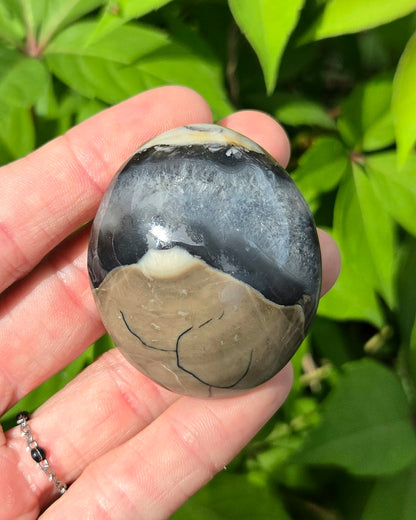 Volcanic Agate Palm Stone UV Reactive
