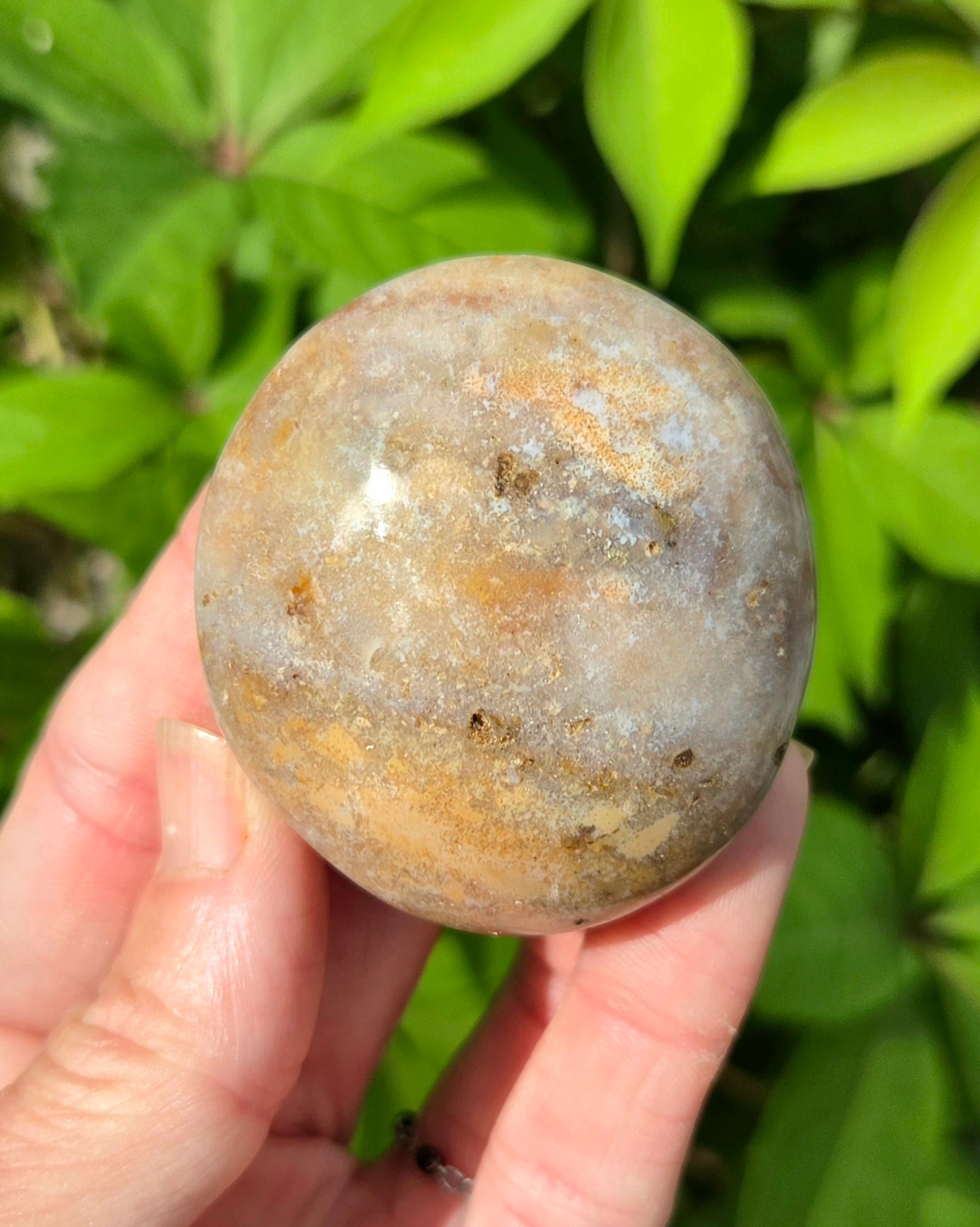 Sea Jasper Palm Stone