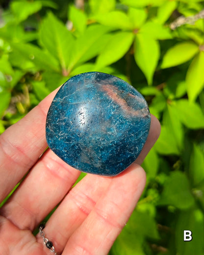Blue Apatite Palm Stone