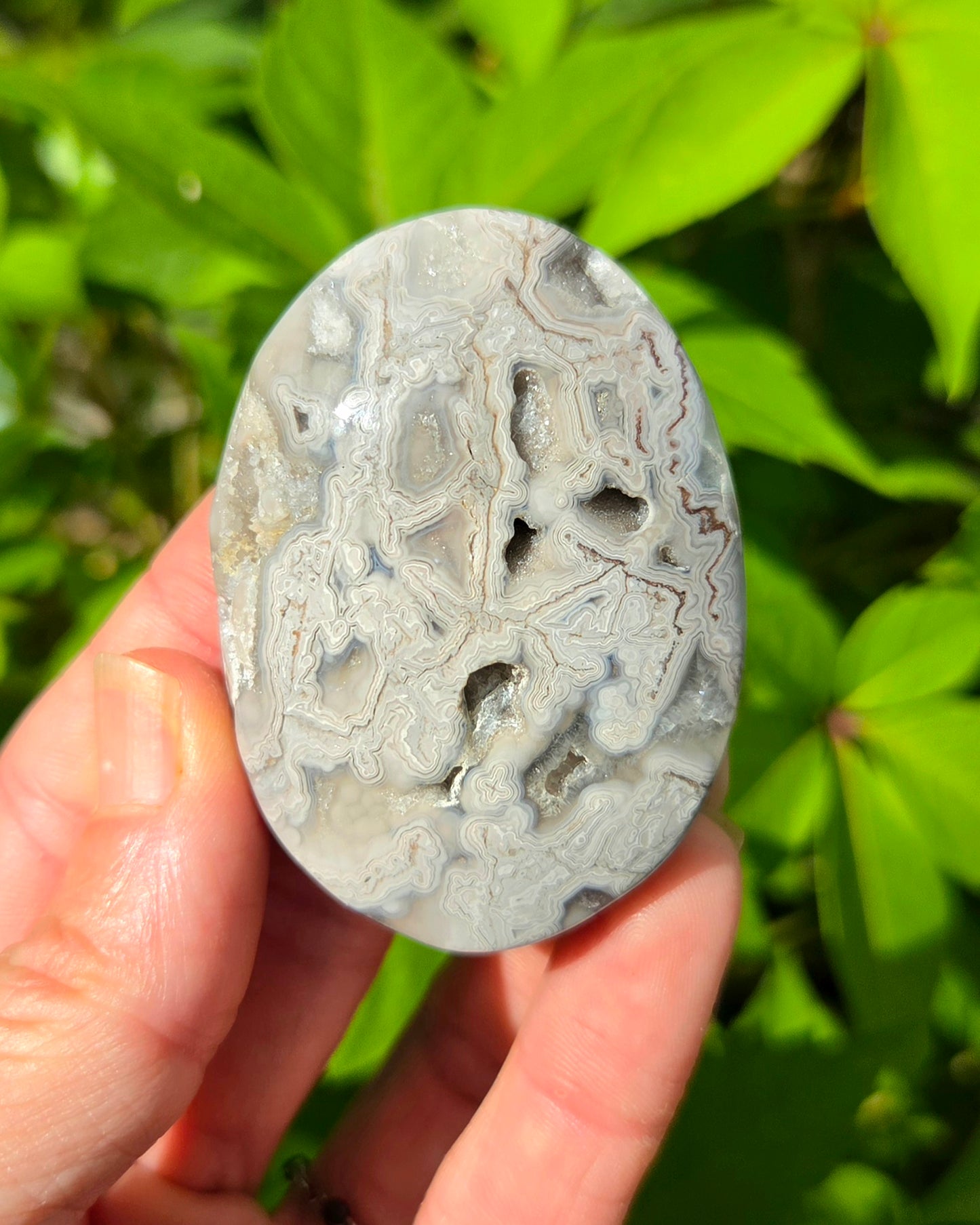 Mexican Crazy Lace Agate Palm Stone with Druzy