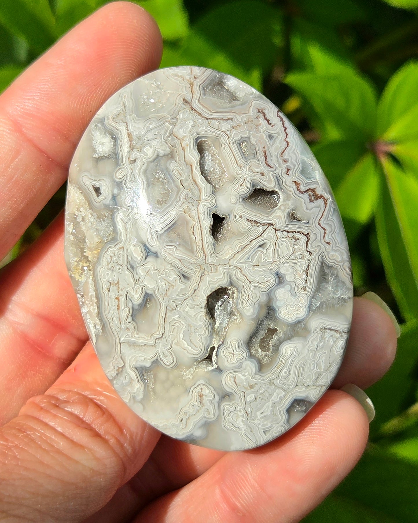 Mexican Crazy Lace Agate Palm Stone with Druzy