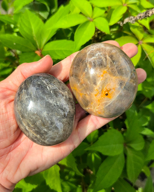 Black Moonstone Palm Stone