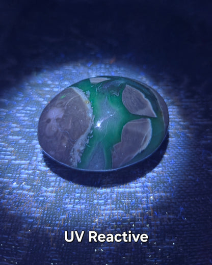 Volcanic Agate Palm Stone UV Reactive