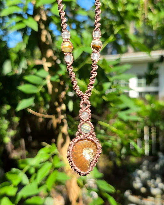 Iridescent Ammonite Macrame Necklace