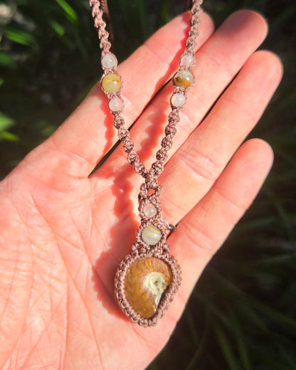 Iridescent Ammonite Macrame Necklace