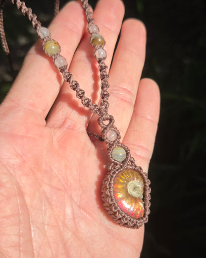 Iridescent Ammonite Macrame Necklace