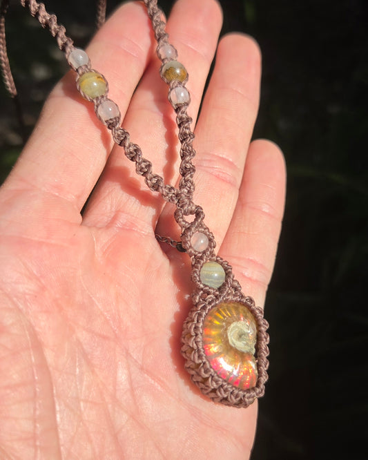 Iridescent Ammonite Macrame Necklace