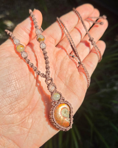 Iridescent Ammonite Macrame Necklace