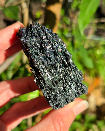 Rainbow Carborundum