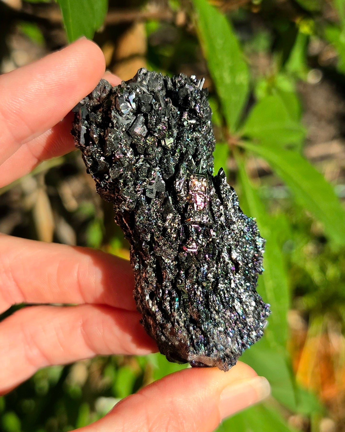 Rainbow Carborundum