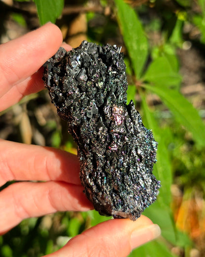 Rainbow Carborundum
