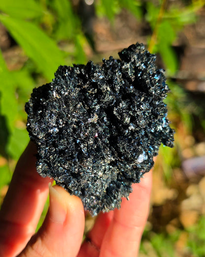 Rainbow Carborundum