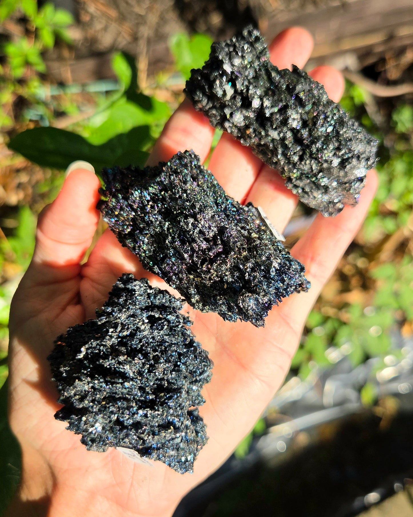 Rainbow Carborundum