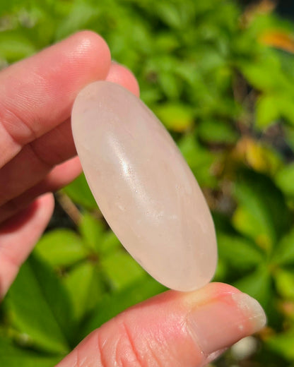 Rose Quartz Palm Stones