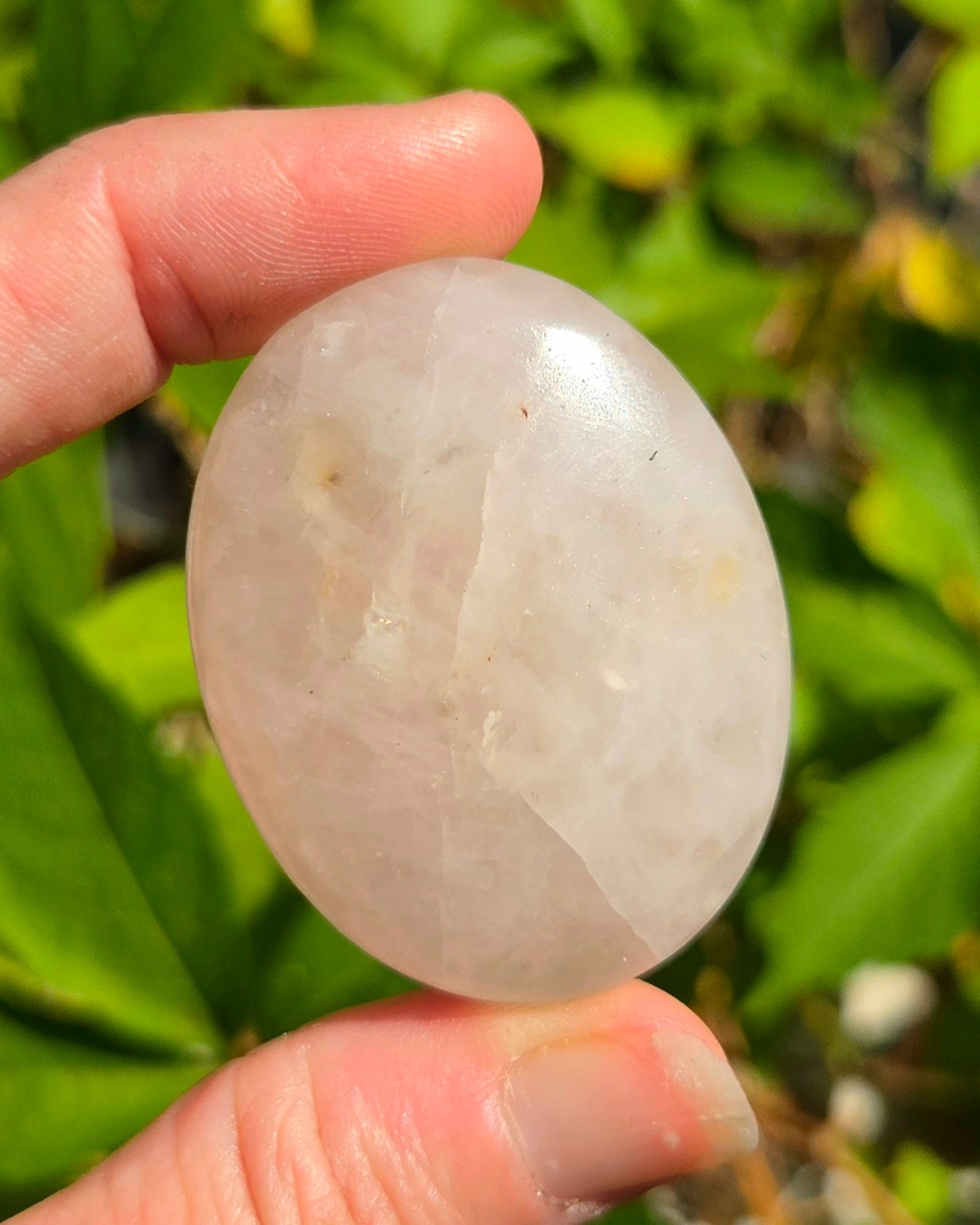 Rose Quartz Palm Stones