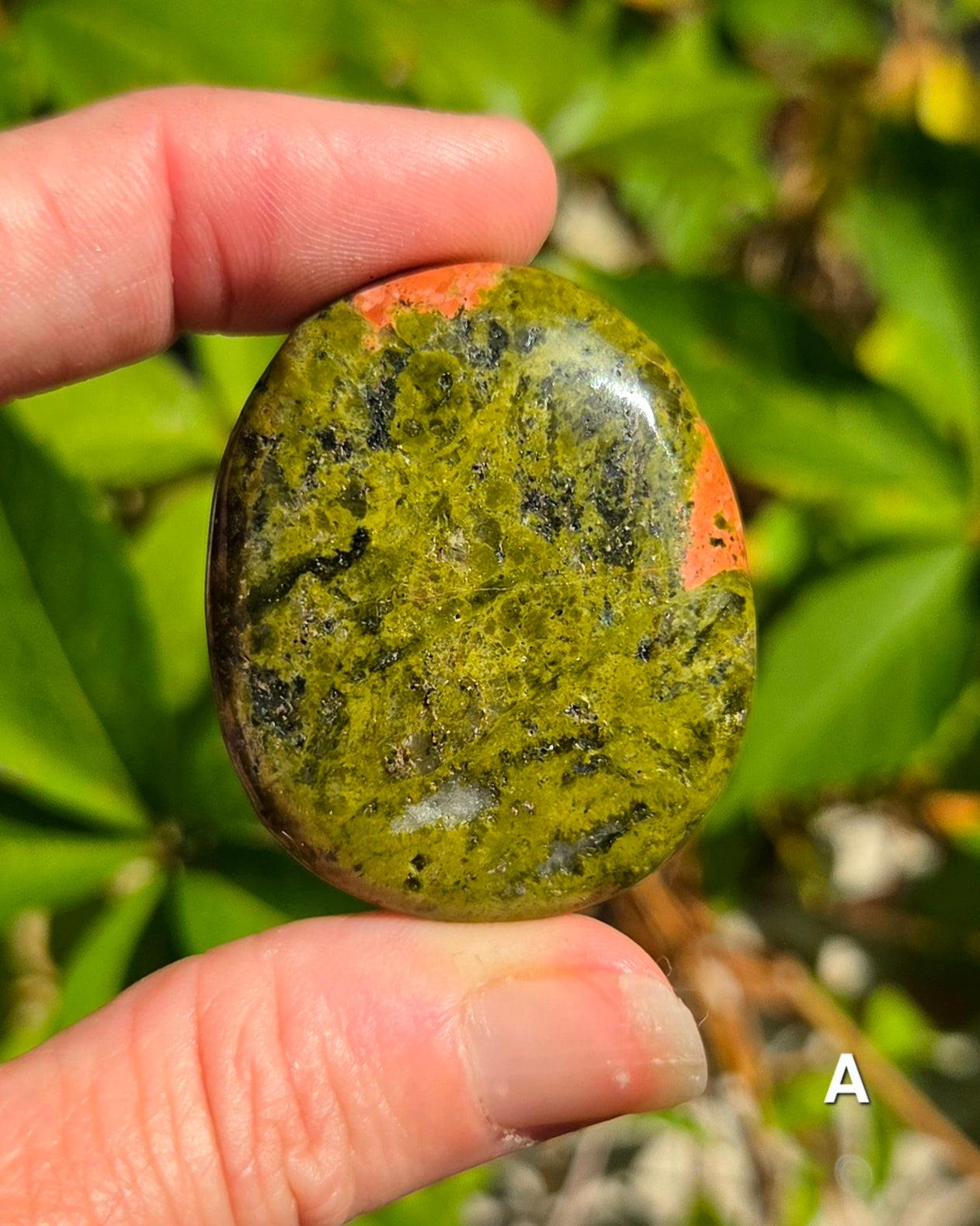 Unakite Palm Stones