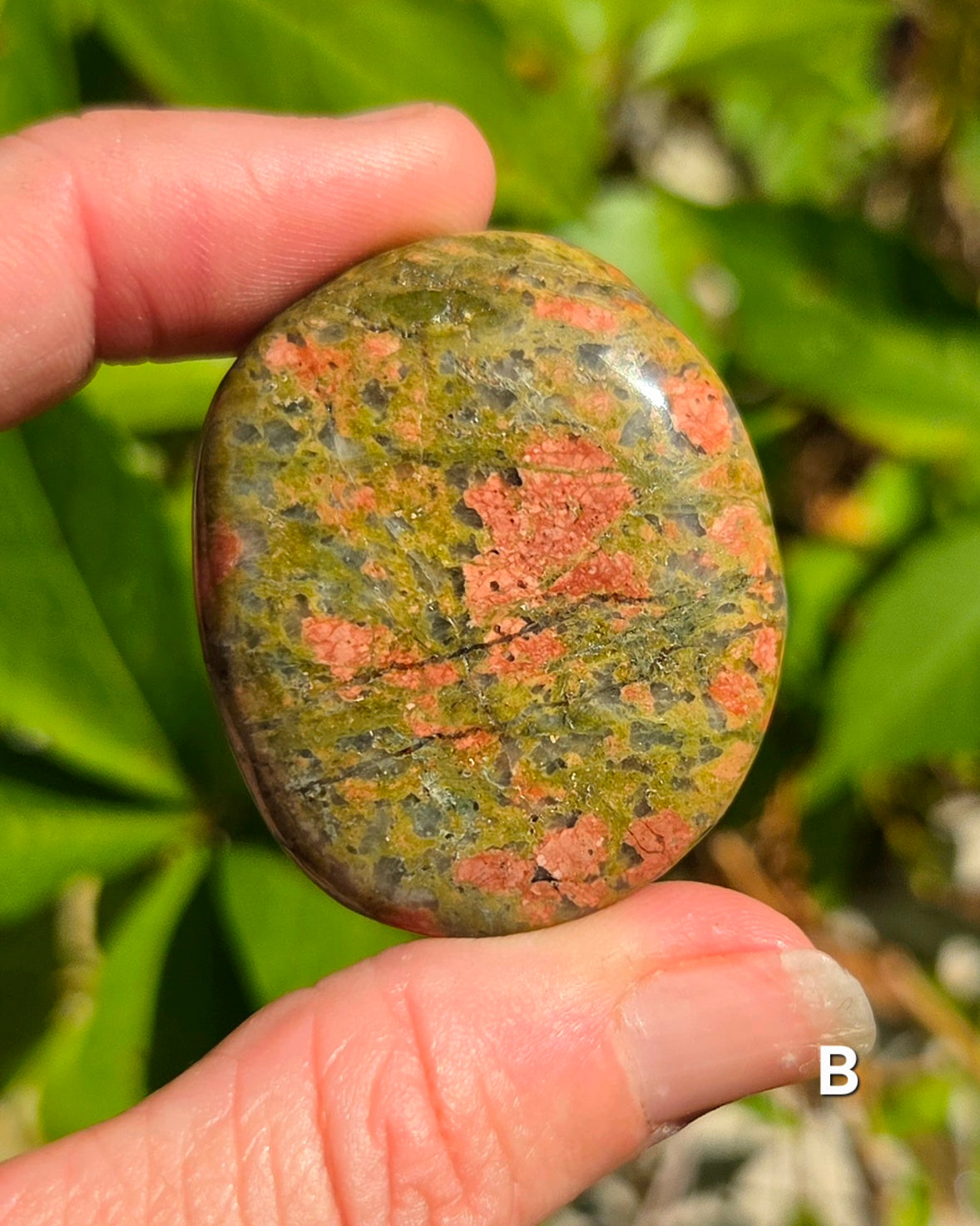 Unakite Palm Stones