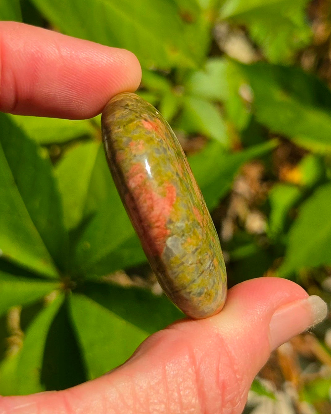 Unakite Palm Stones
