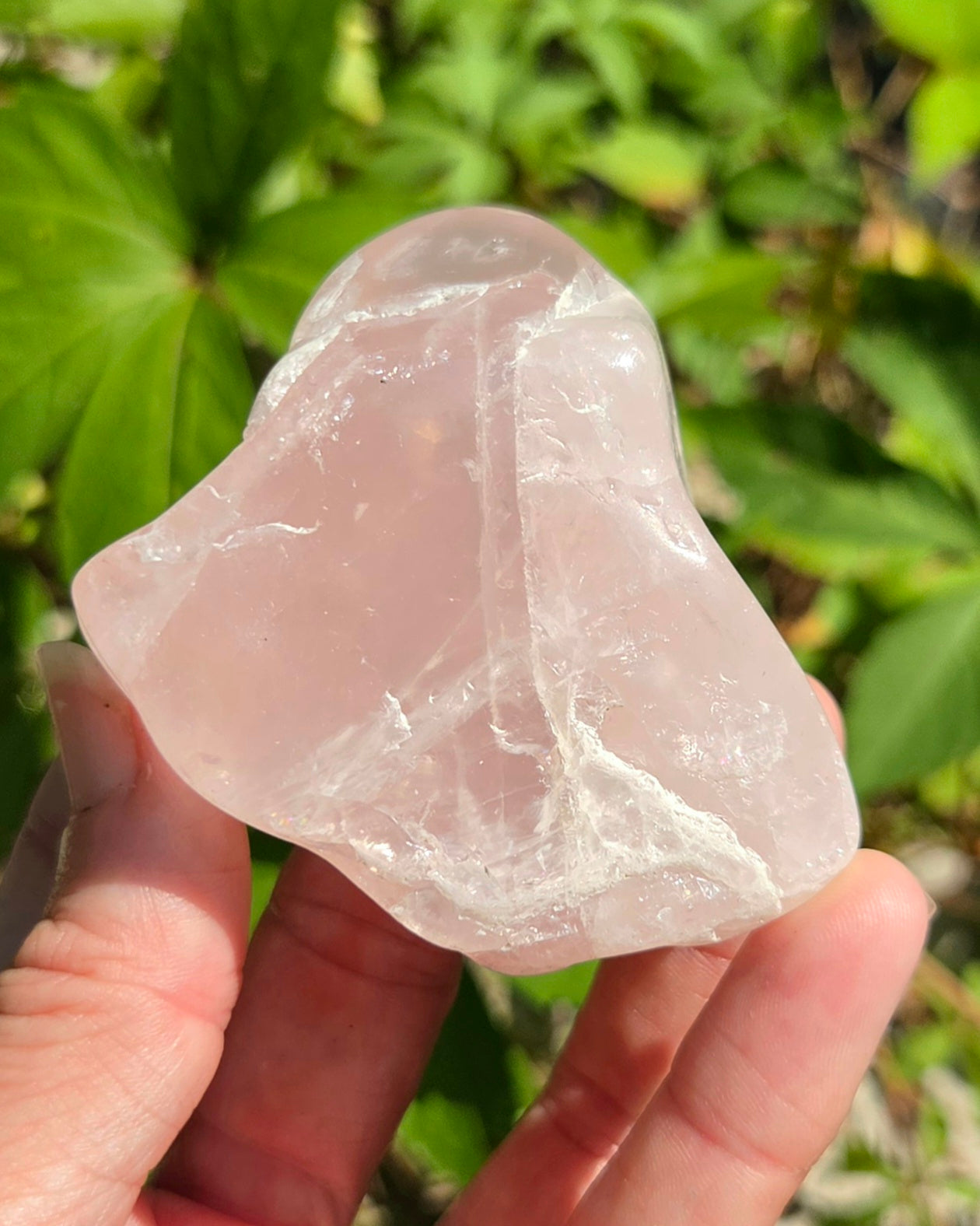 Rose Quartz Freeform Palm Stone