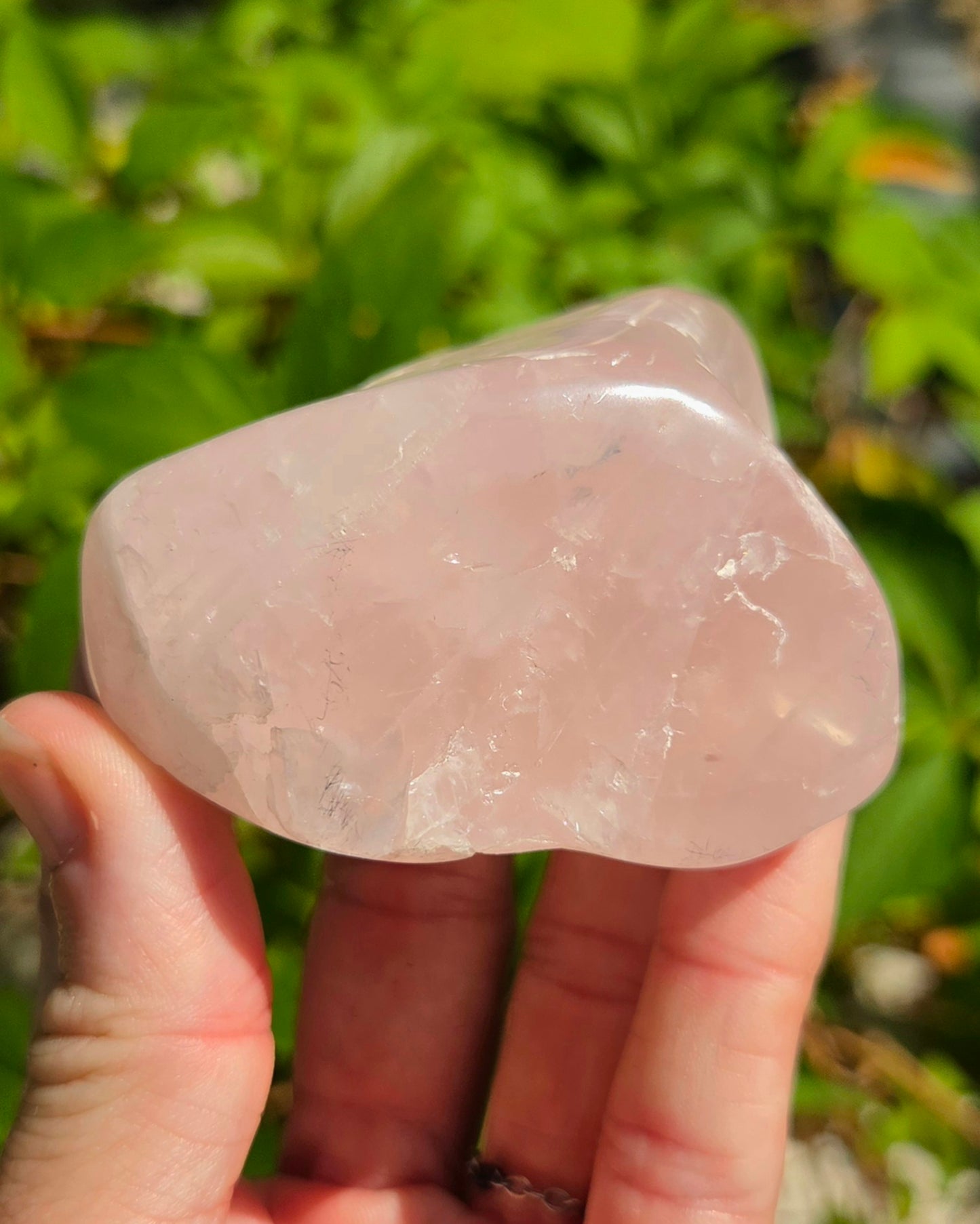 Rose Quartz Freeform Palm Stone