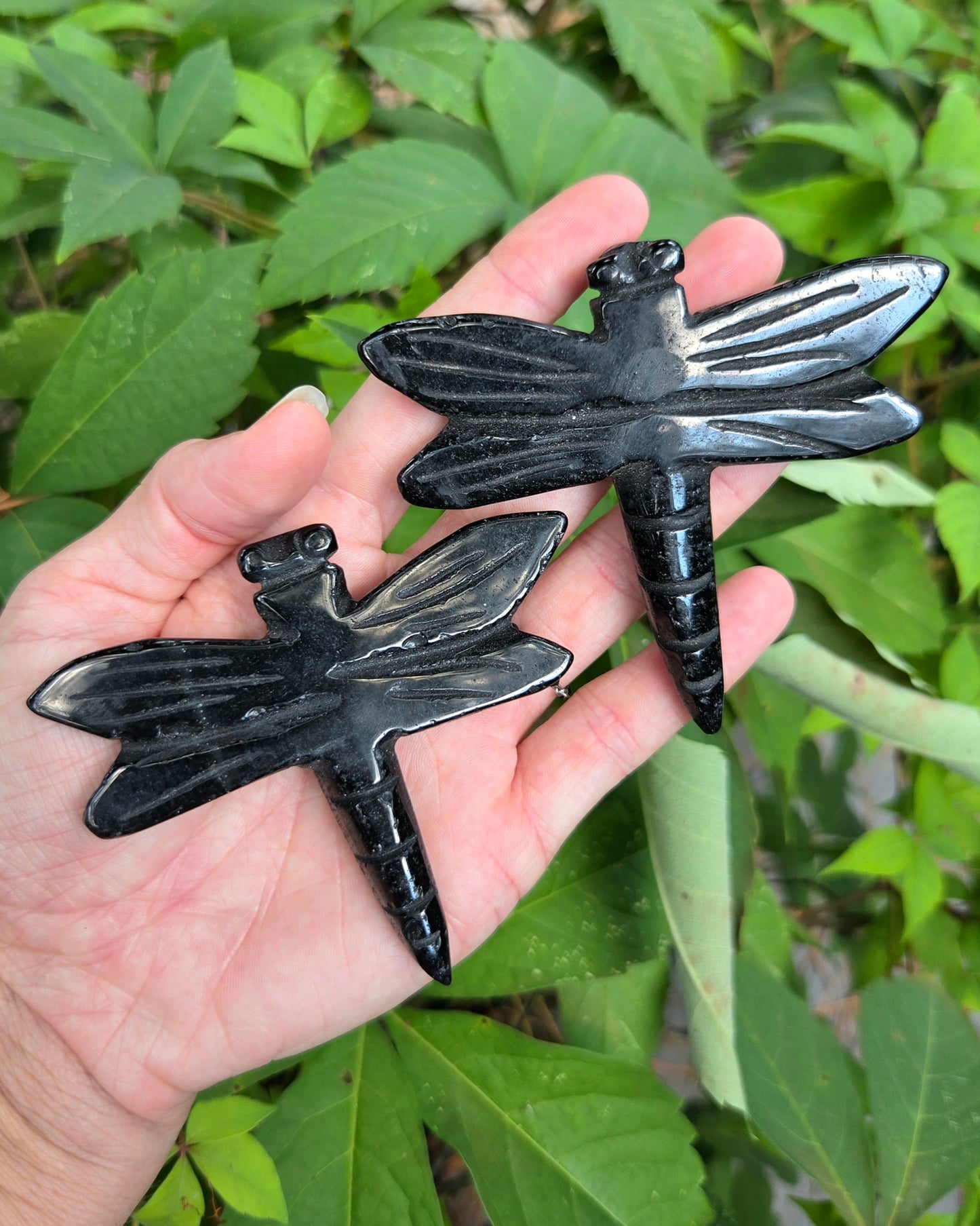 Dragonfly Carvings (Black Obsidian or Rose Quartz)