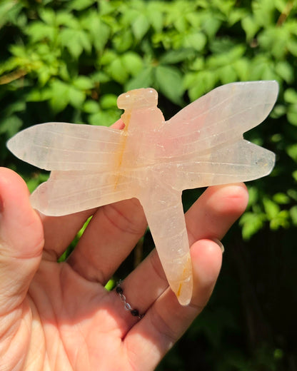 Dragonfly Carvings (Black Obsidian or Rose Quartz)