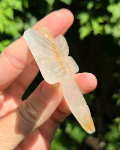 Dragonfly Carvings (Black Obsidian or Rose Quartz)