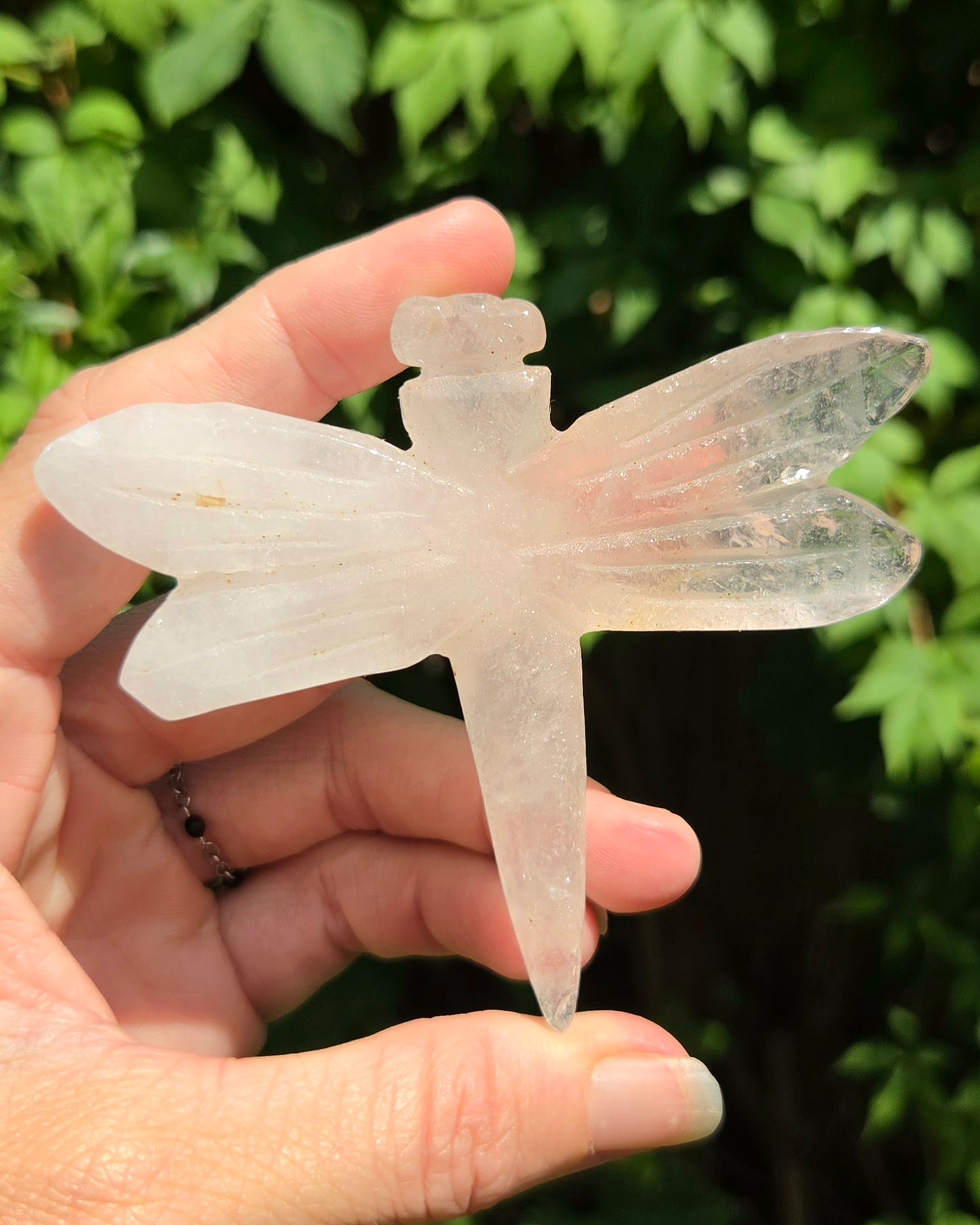 Dragonfly Carvings (Black Obsidian or Rose Quartz)